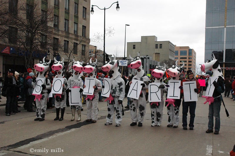 A line of people dressed as cows all carry signs with letters that spell out "SOLIDARITY."