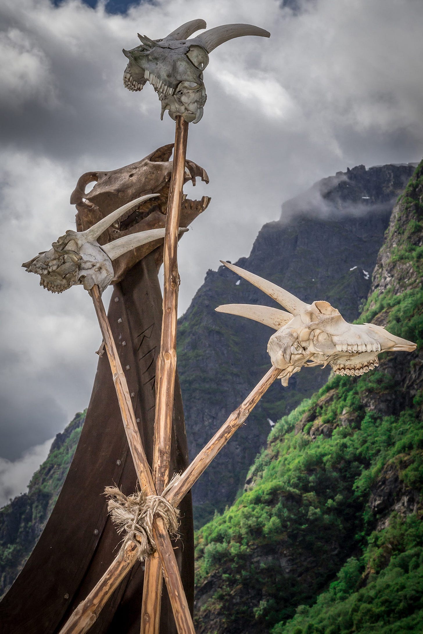 True nithing pole curses require runes carved into the poles and horses heads rather than those of any other animal. True nithing pole curses require runes carved into the poles and horses heads rather than those of any other animal.