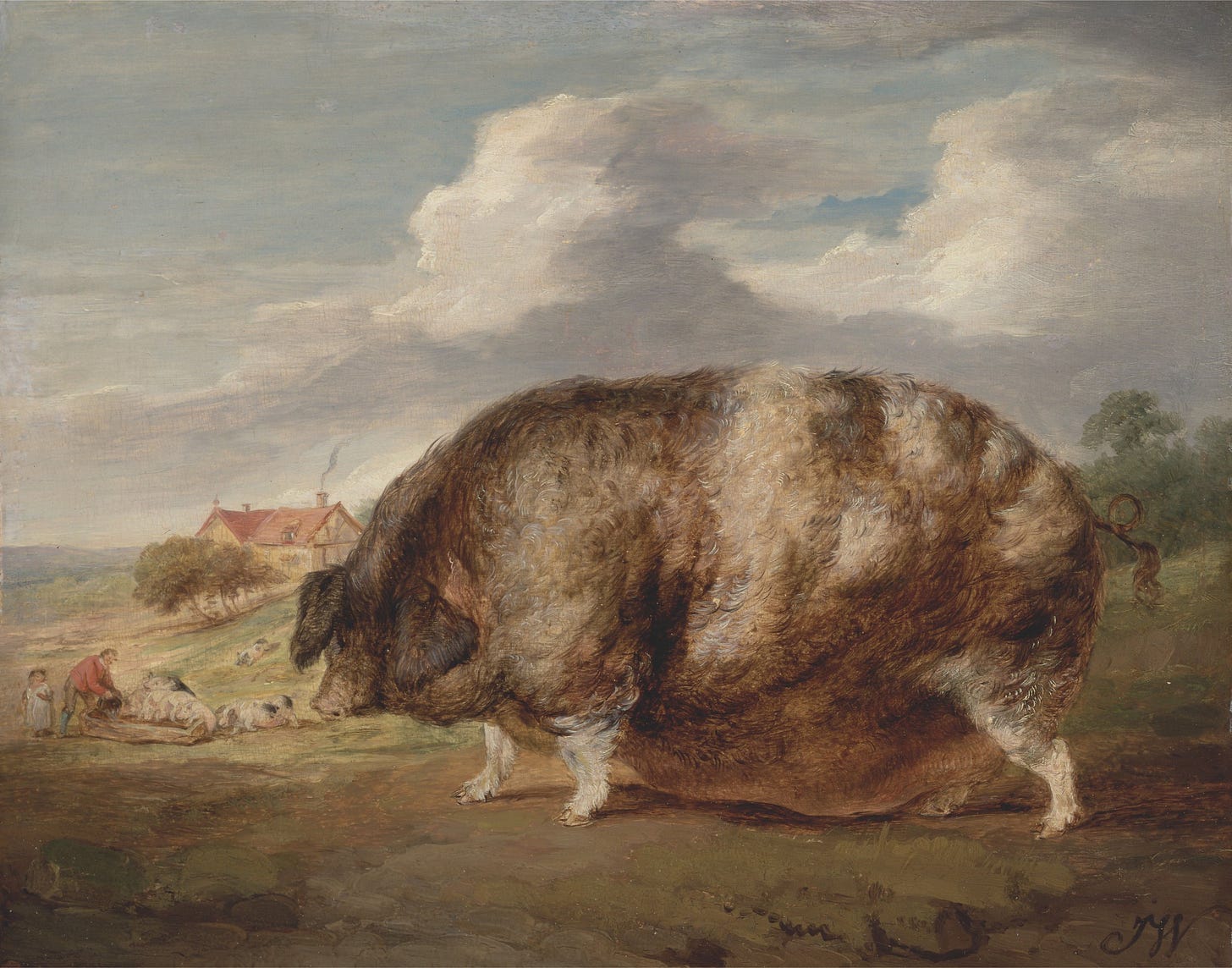 Big Pigs: Prize Pig Portraits — The Open Art Fair