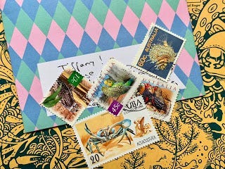 A pastel-coloured envelope addressed to Tiffany is strewn with stamps of birds and sea creatures.