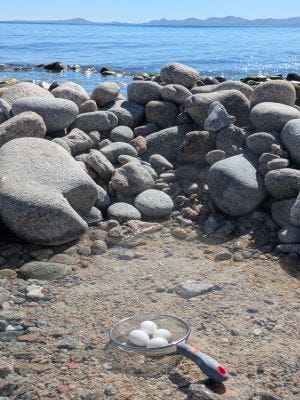 a colander containing four eggs in a shallow rocky pool