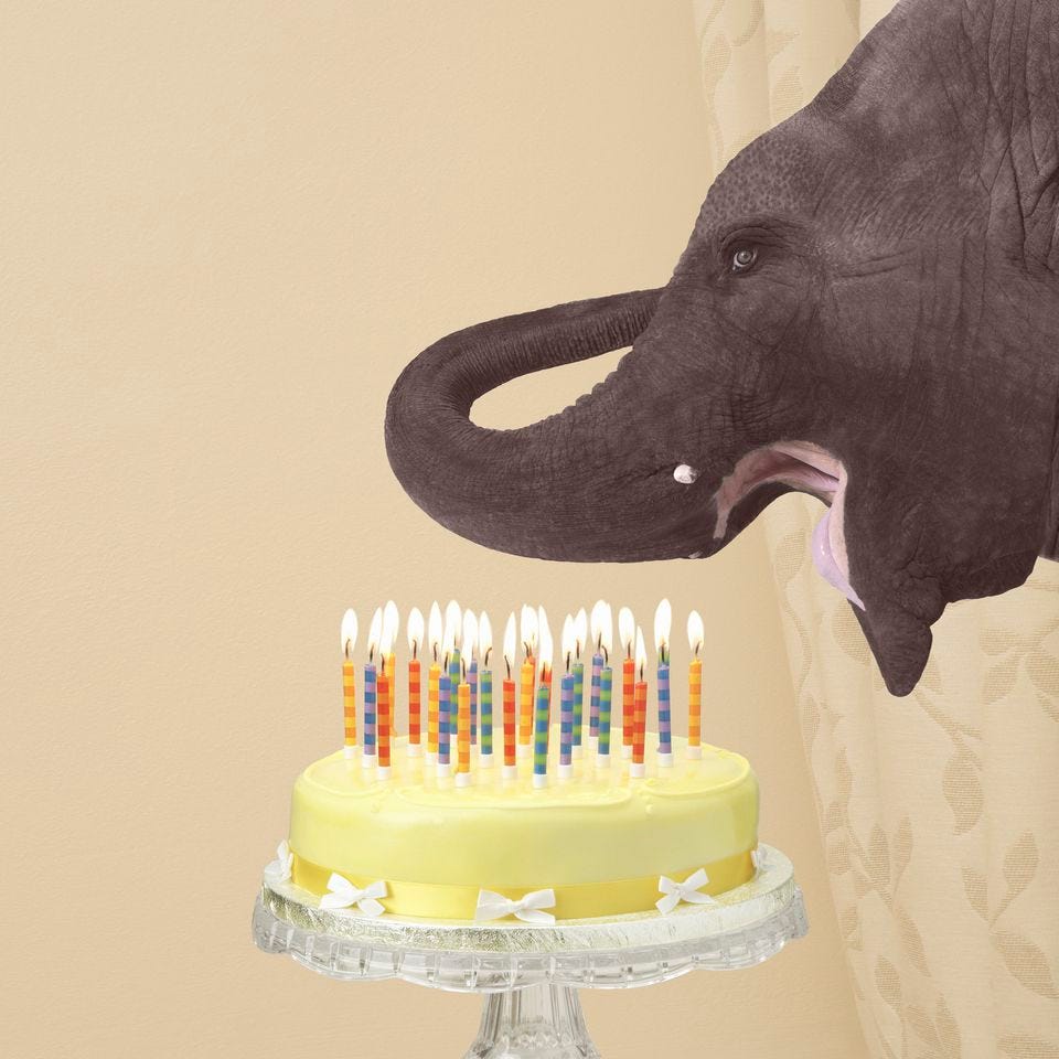 Children's Birthday Party Planning Guide in Little Rock