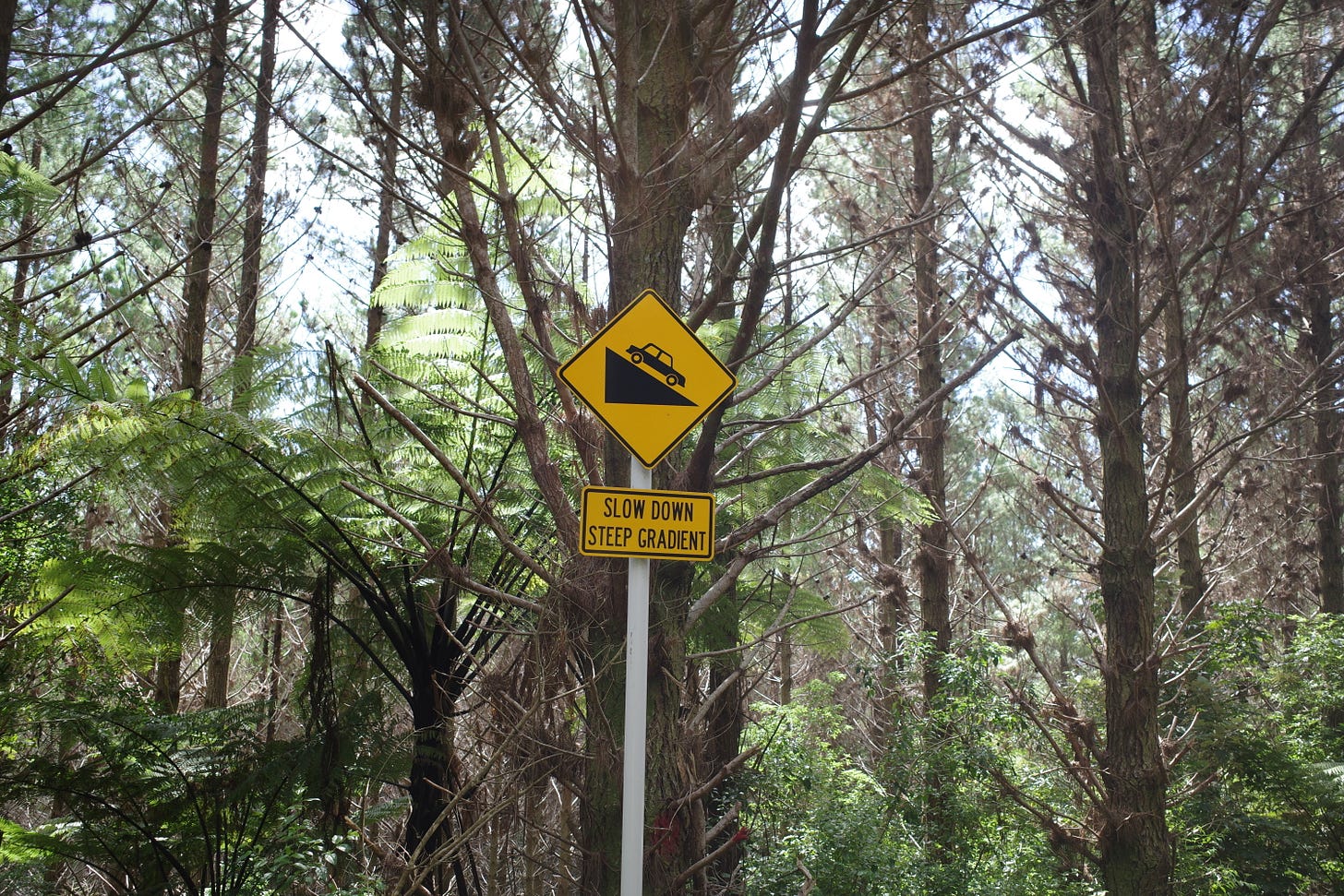 A sign in the bush saying "slow down - steep gradient"
