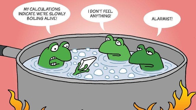 Are We The Frogs In The Pot?. Have you ever heard of the metaphor of… | by  Bitcoin - DePIN - Climate | Medium