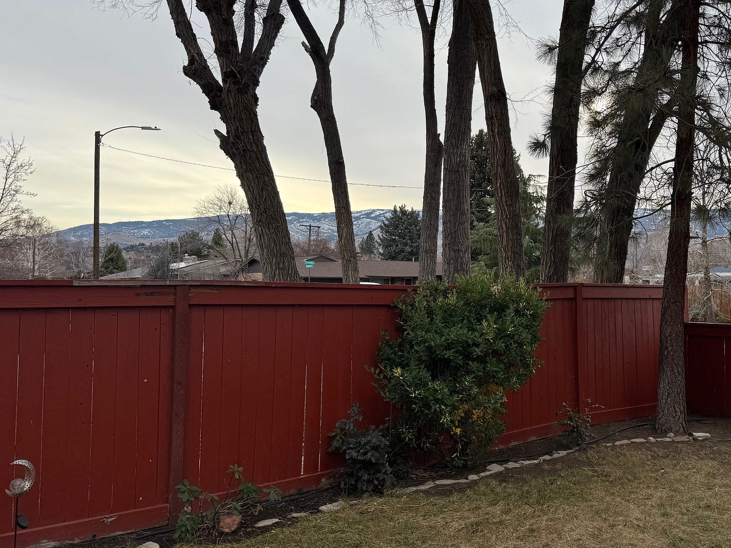 A picture facing the Sierra Nevada mountains from our yard in Reno.