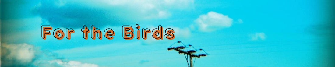 A banner shows a slightly grainy photograph of a bright blue sky, with a utility pole in the center, and the orange "For the Birds" font to the left.