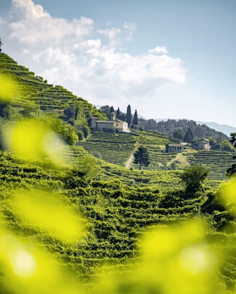 Conegliano Valdobbiadene