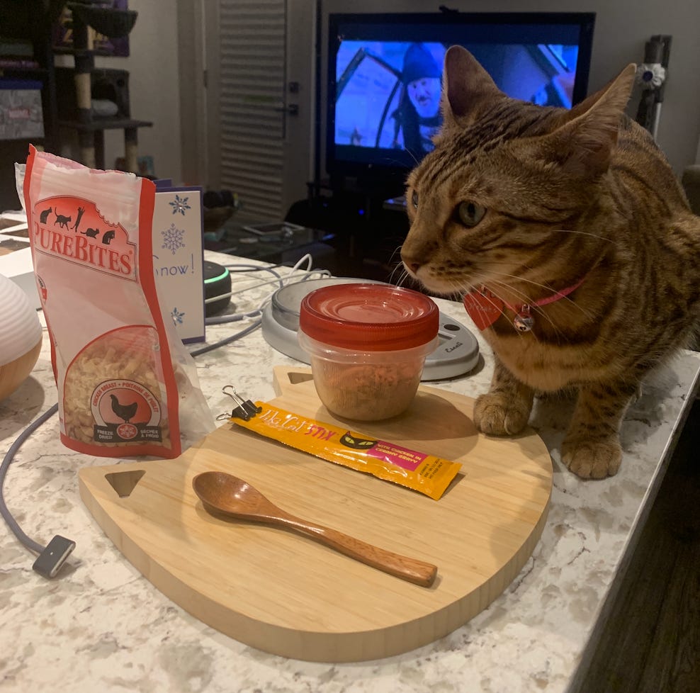 cat, bengal, nezuko, charcuterie board, culinary, foodie, pet, spoiled pets, tiki cat, purebites, cat food