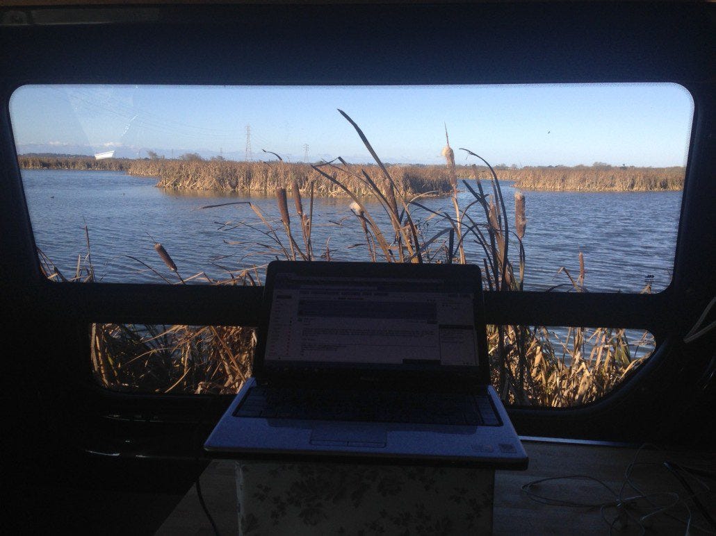 View from the office window bird watching outside of Arcata.