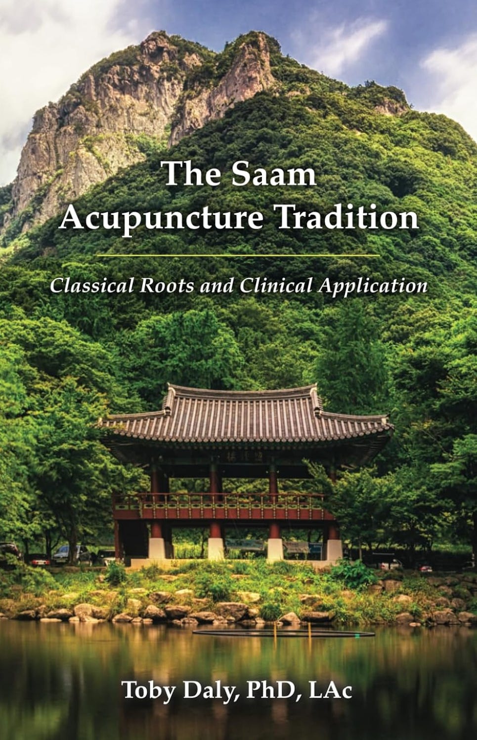 Toby Daly's new Saam acupuncture book