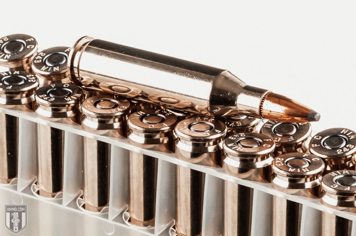 243 Winchester ammo for sale