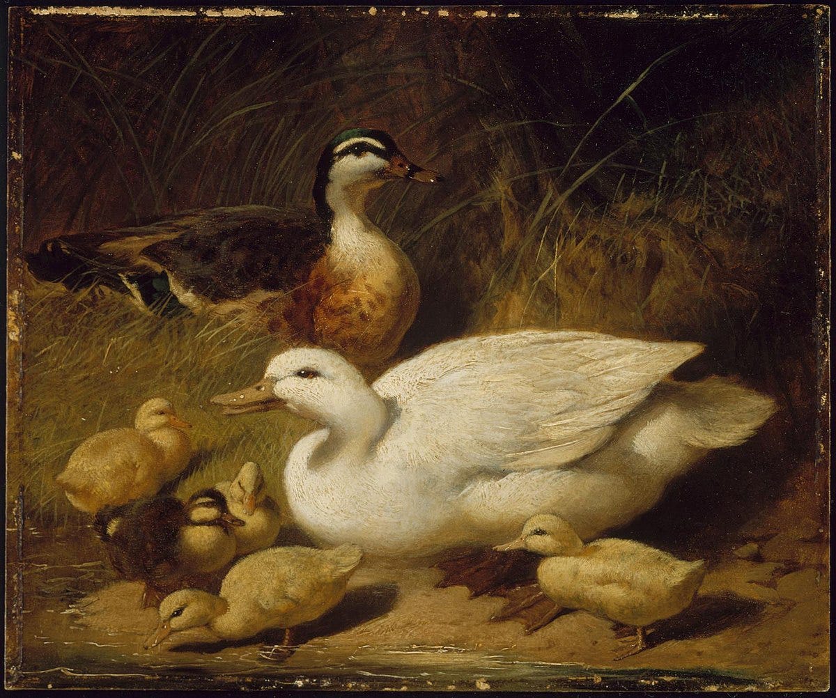 File:John Frederick Herring, Sr. - Ducks and Ducklings - 74.17 - Museum of  Fine Arts.jpg - Wikimedia Commons