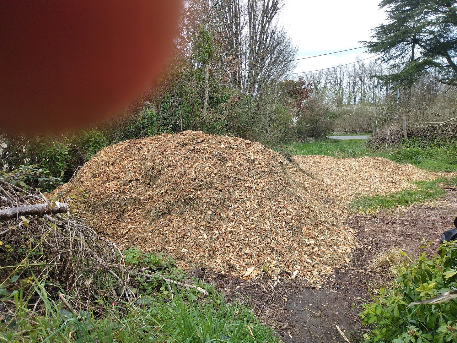 wood chip on a farm in rural France