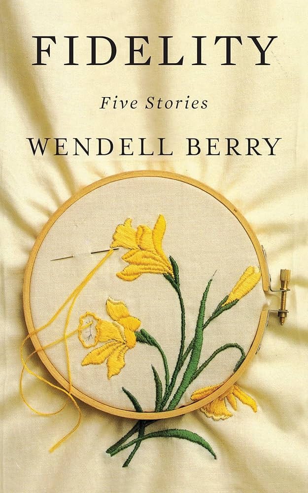 Fidelity: Five Stories See more