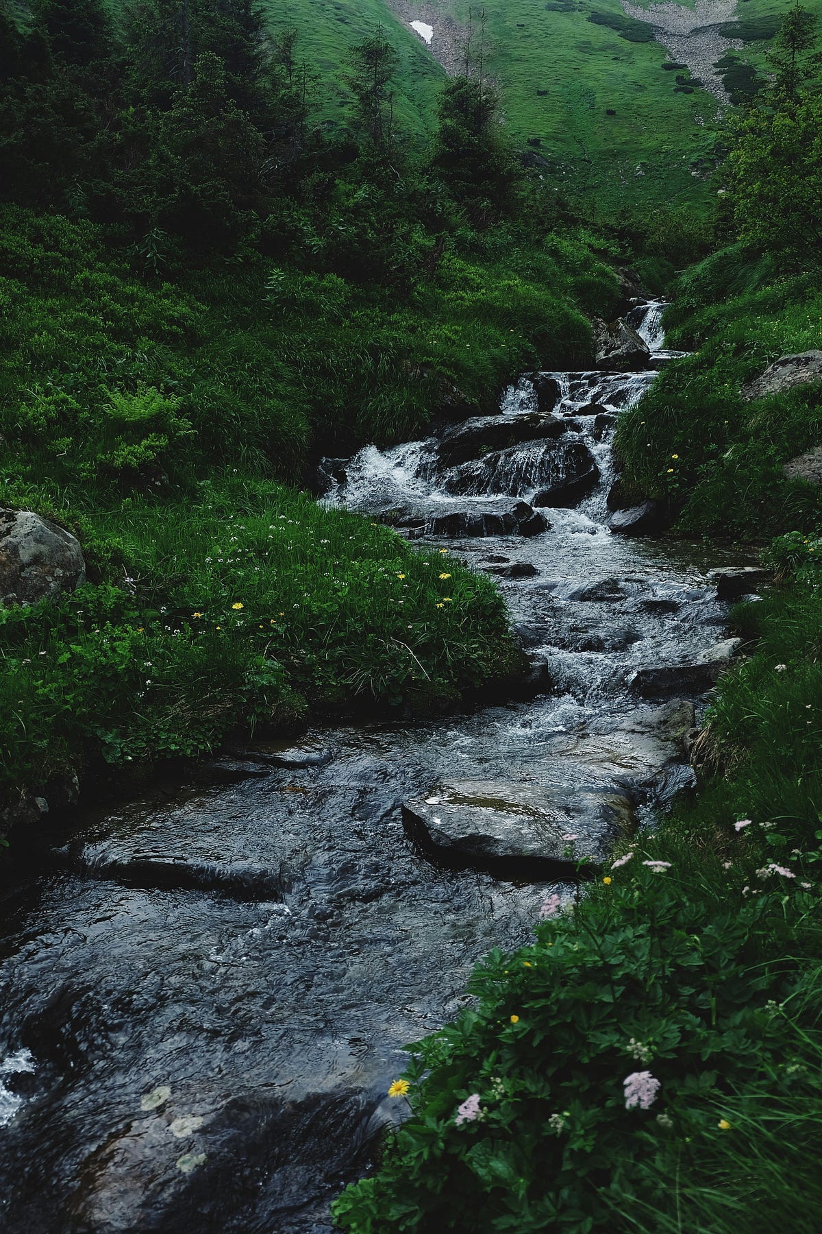 A flowing stream A flowing stream
