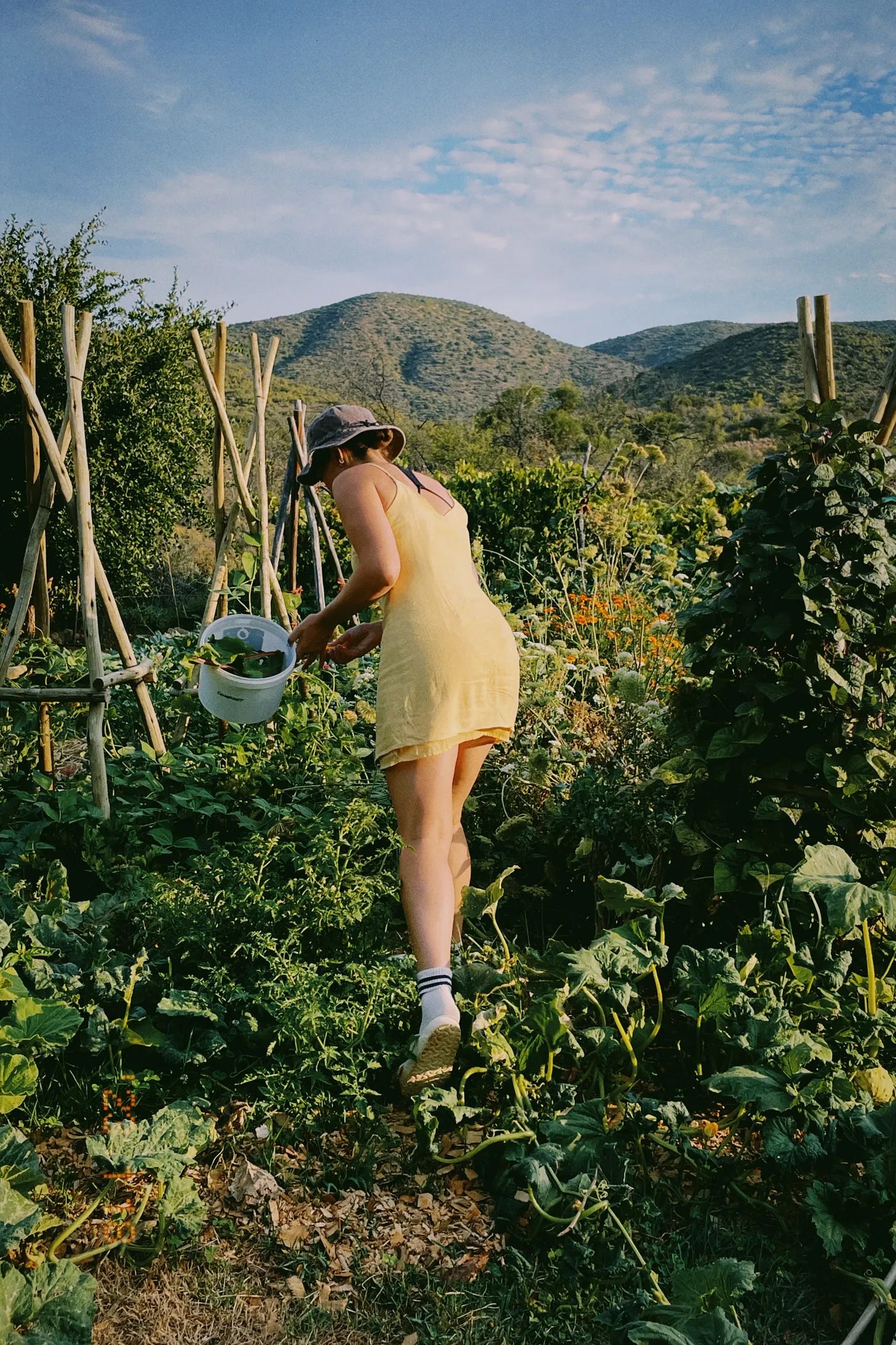eva nowe works in the garden at numbi valley permaculture farm in south africa