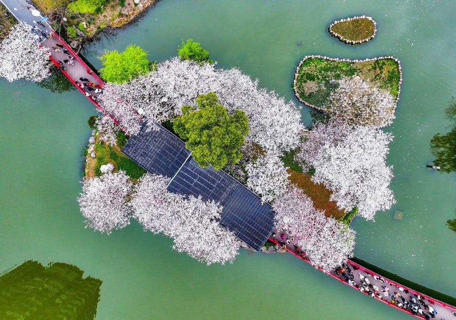 An aerial view of people walking on a bridge and across a small island in a park.