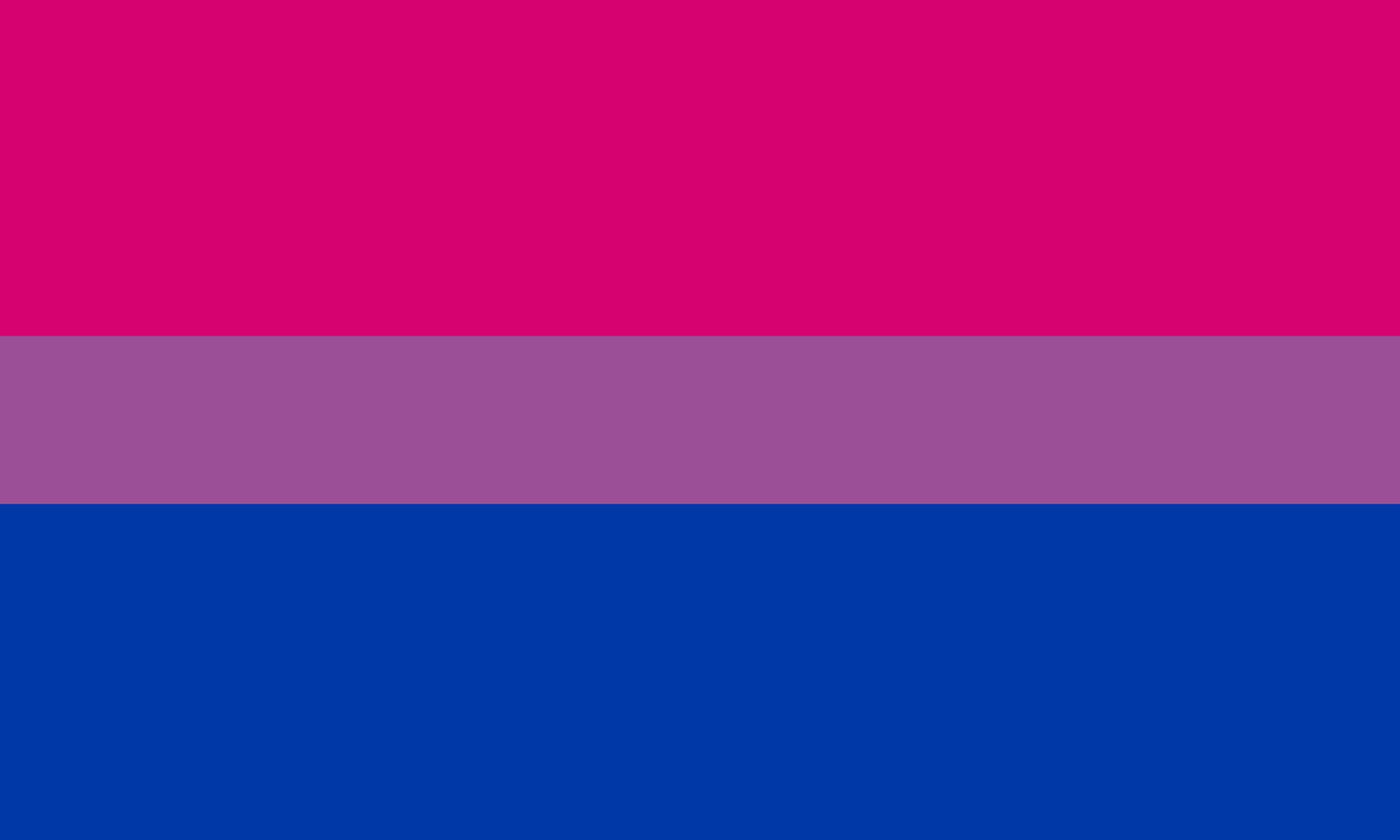 the bi flag (pink stripe, small purple stripe, blue stripe)