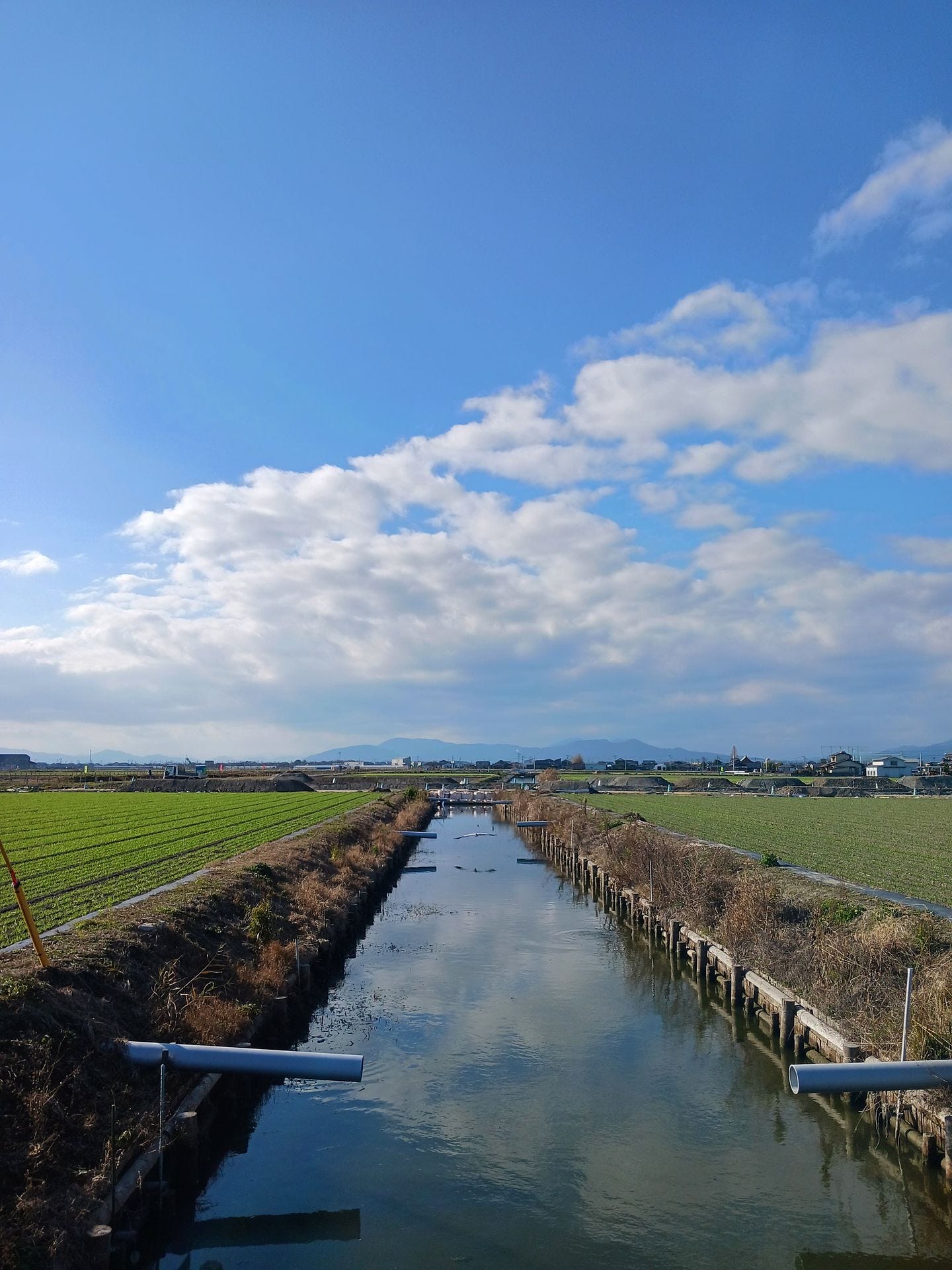 佐賀の田んぼの用水路の写真