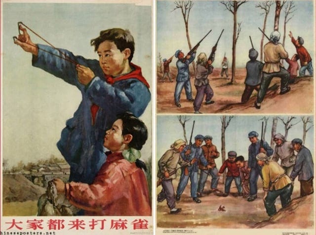Everybody, come kill sparrows" 1956 Chinese campaign to promote ...