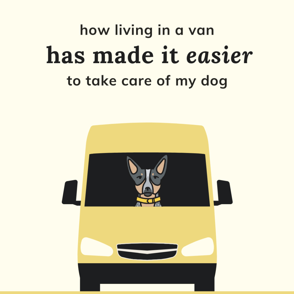 How living in a van has made it easier to take care of my dog