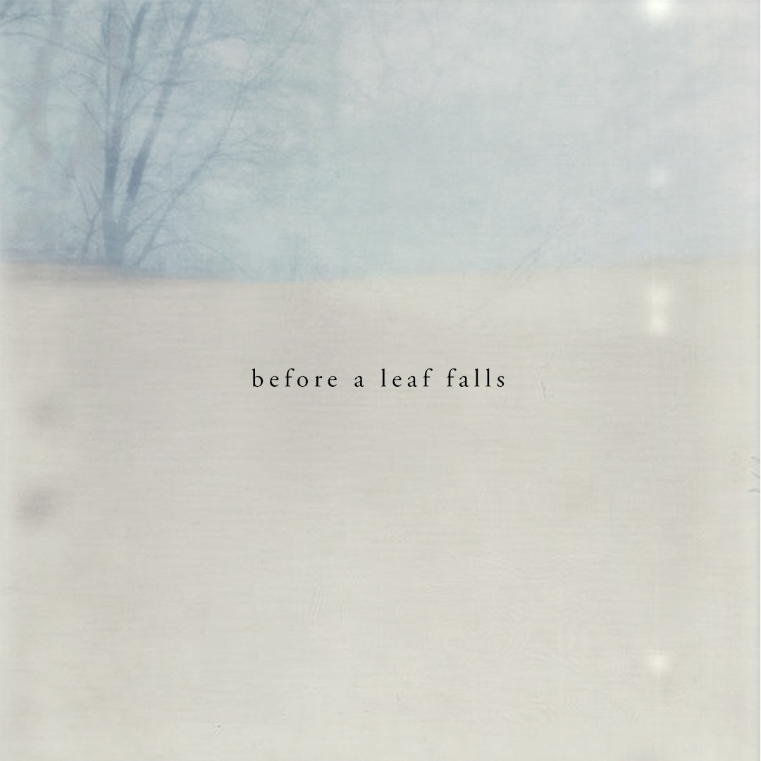 BeforeALeafFalls.jpg
