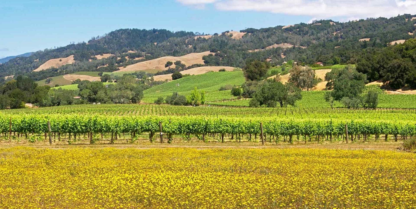 AVA Wines of the Alexander Valley Wine Region