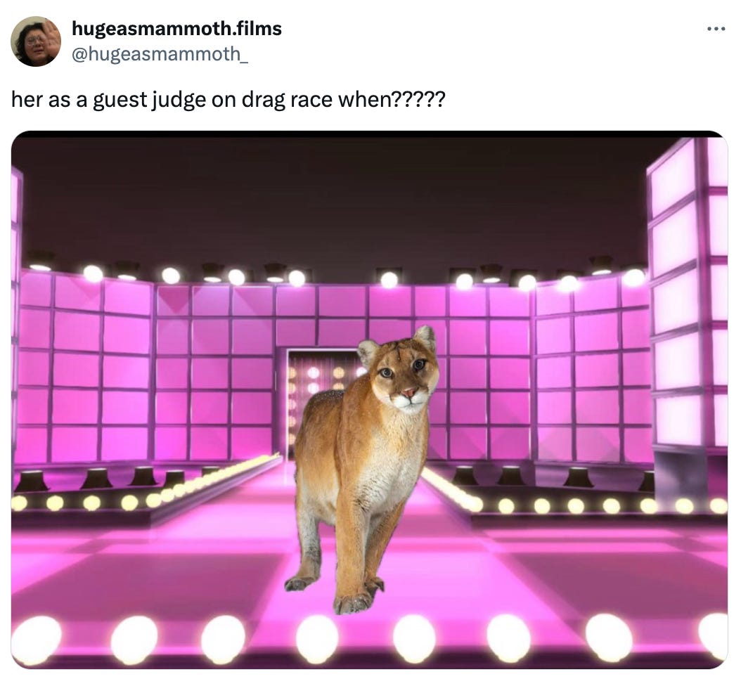 Tweet from @hugeasmammoth_ that says "her as a guest judge on drag race when?????" and features the mountain lion photoshopped onto the stage on RuPaul's Drag Race