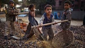 Child Labor in Algeria – Dons Press