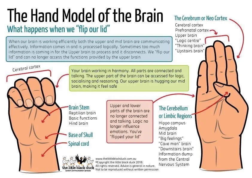 Hand Brain