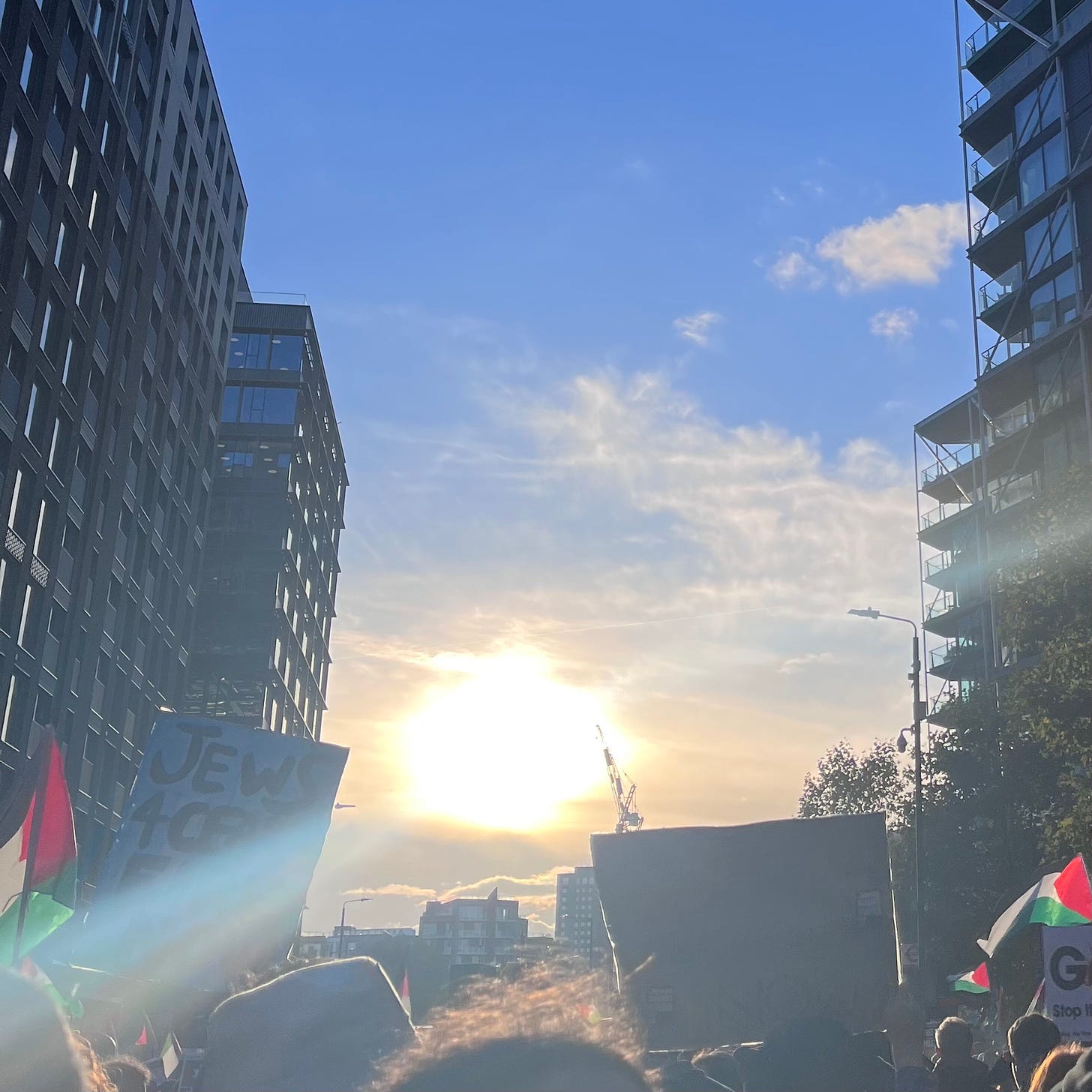 a bright white inchoate sun on the low horizon between the steel and glass buildings of the unlivable parts of london. walking toward the sun are protestors, some carrying palestinian flags, some carrying "jews for ceasefire" 