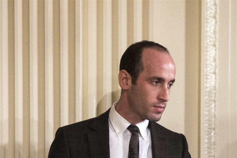 stephen miller