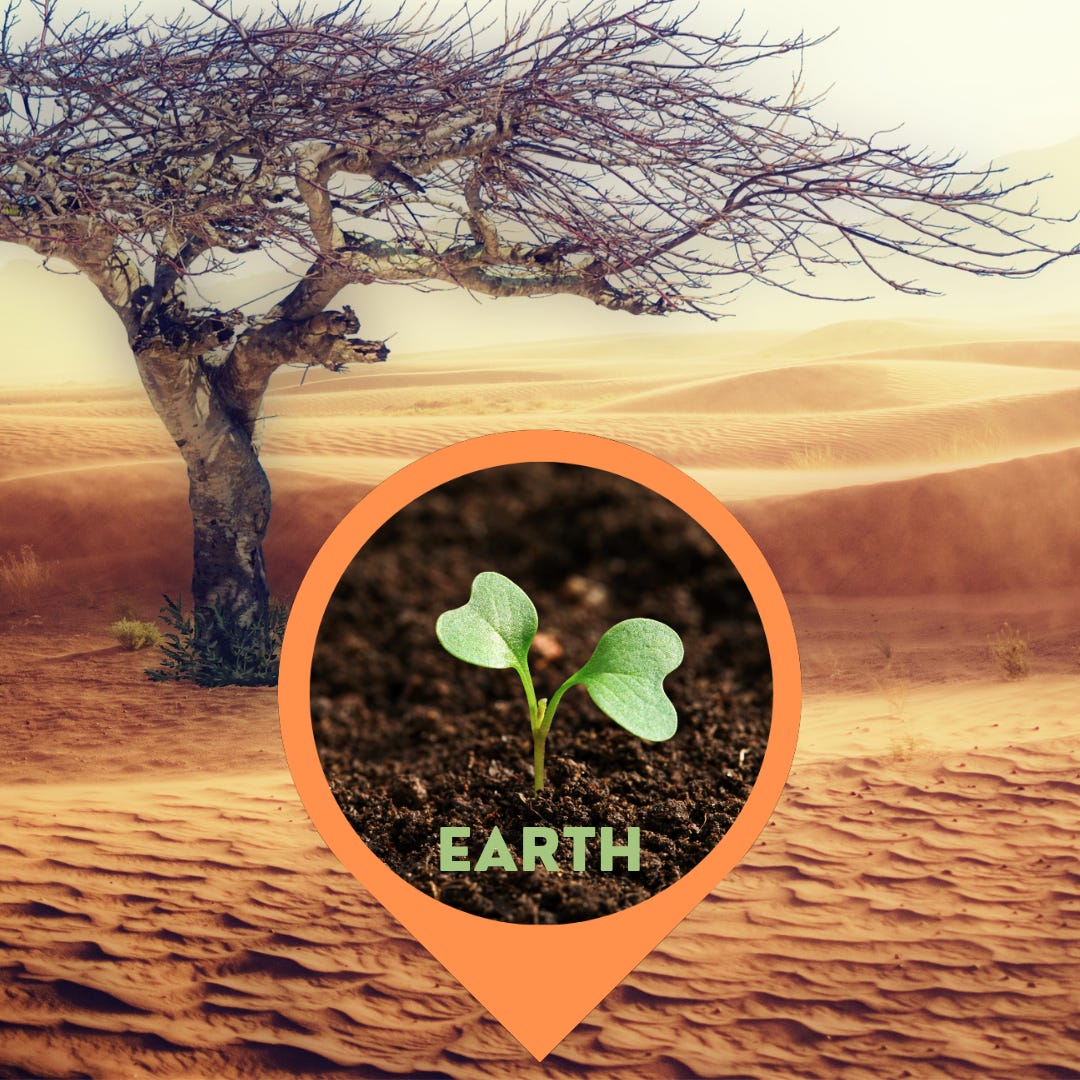 A desiccated tree in a desert; a green sprout poking up out of rich, fertile soil: EARTH. 