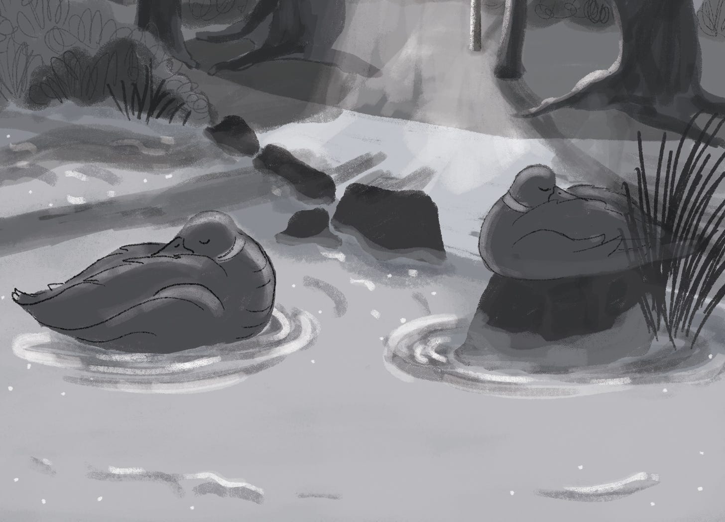 A black and white digital drawing of two ducks sleeping on a pond