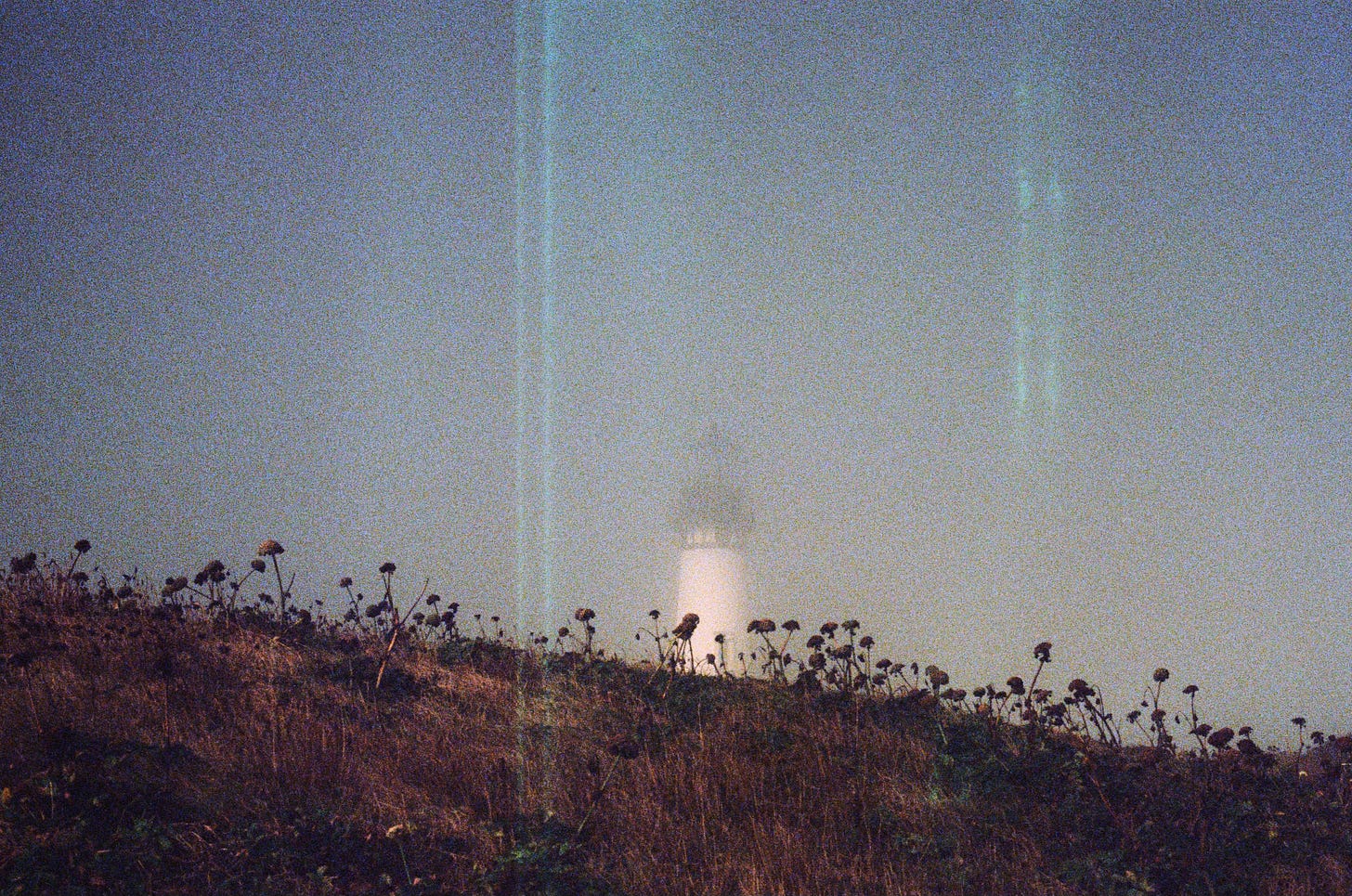 Another grainy, foggy photograph of a lighthouse in the background, this time further away, and with more foliage visible in the foreground.