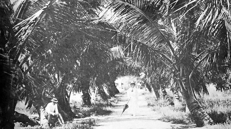 Locke and Kathryn Highleyman standing on the future SE 14th Street in the Point Subdivision of Brickell in 1913.