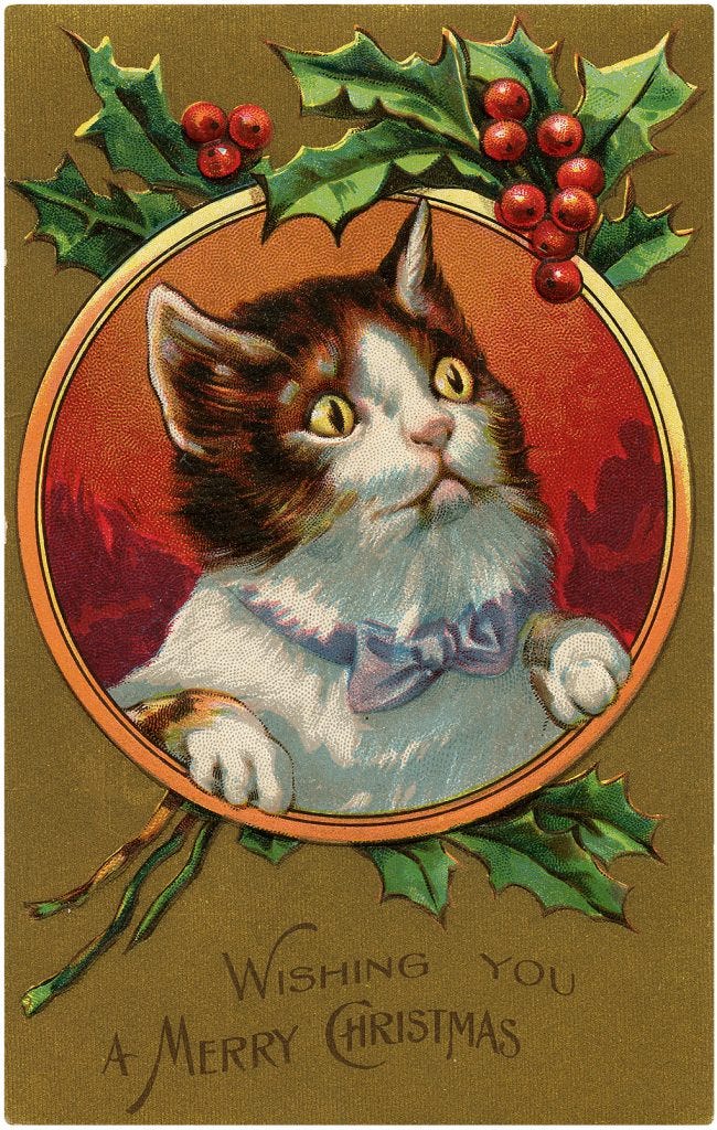 A vintage Christmas card showing a ginger and white cat surrounded by a frame with sprigs of holly.