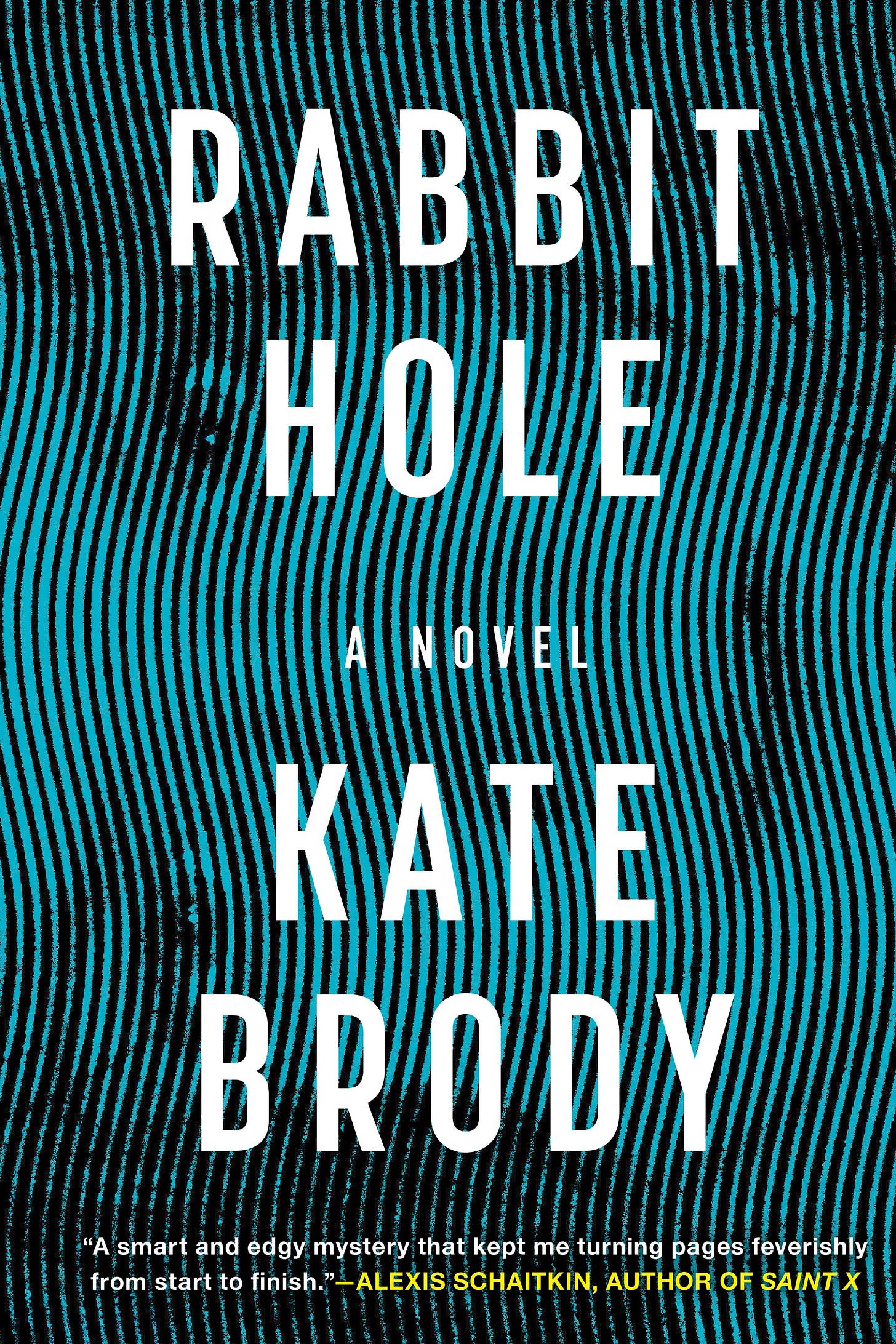 cover of Rabbit Hole, a literary thriller by Kate Brody; image of a woman's face sidways, obscured by wavy lines