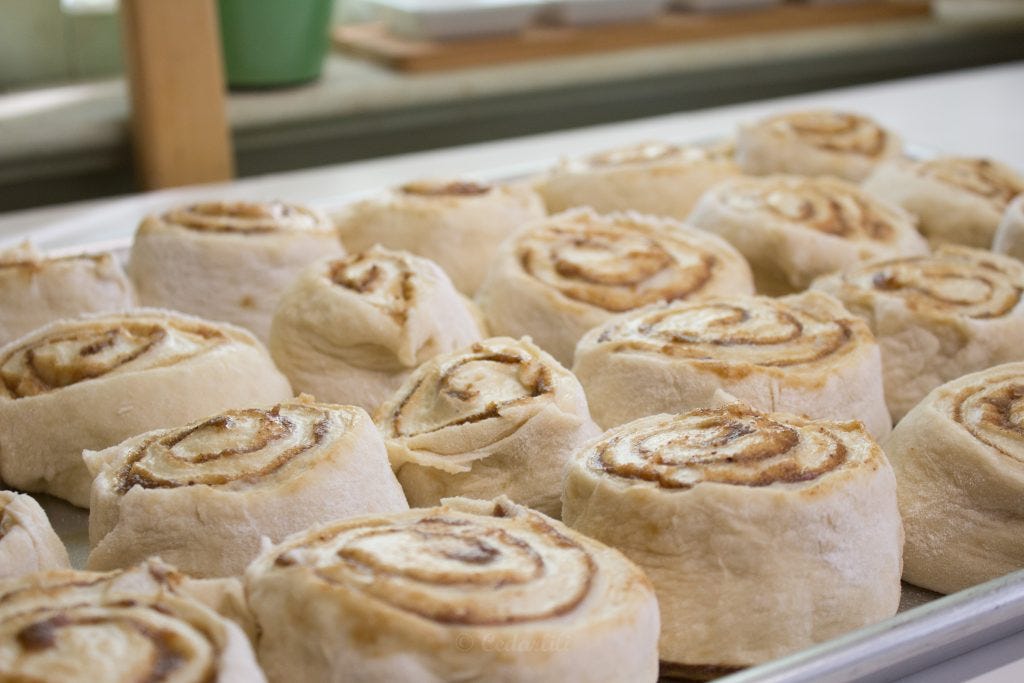 cinnamon rolls