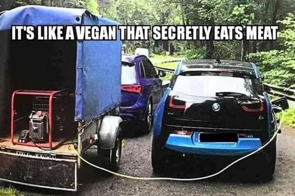 May be an image of text that says 'IT'S LIKE VEGAN THAT SECRETLY EATS MEAT'