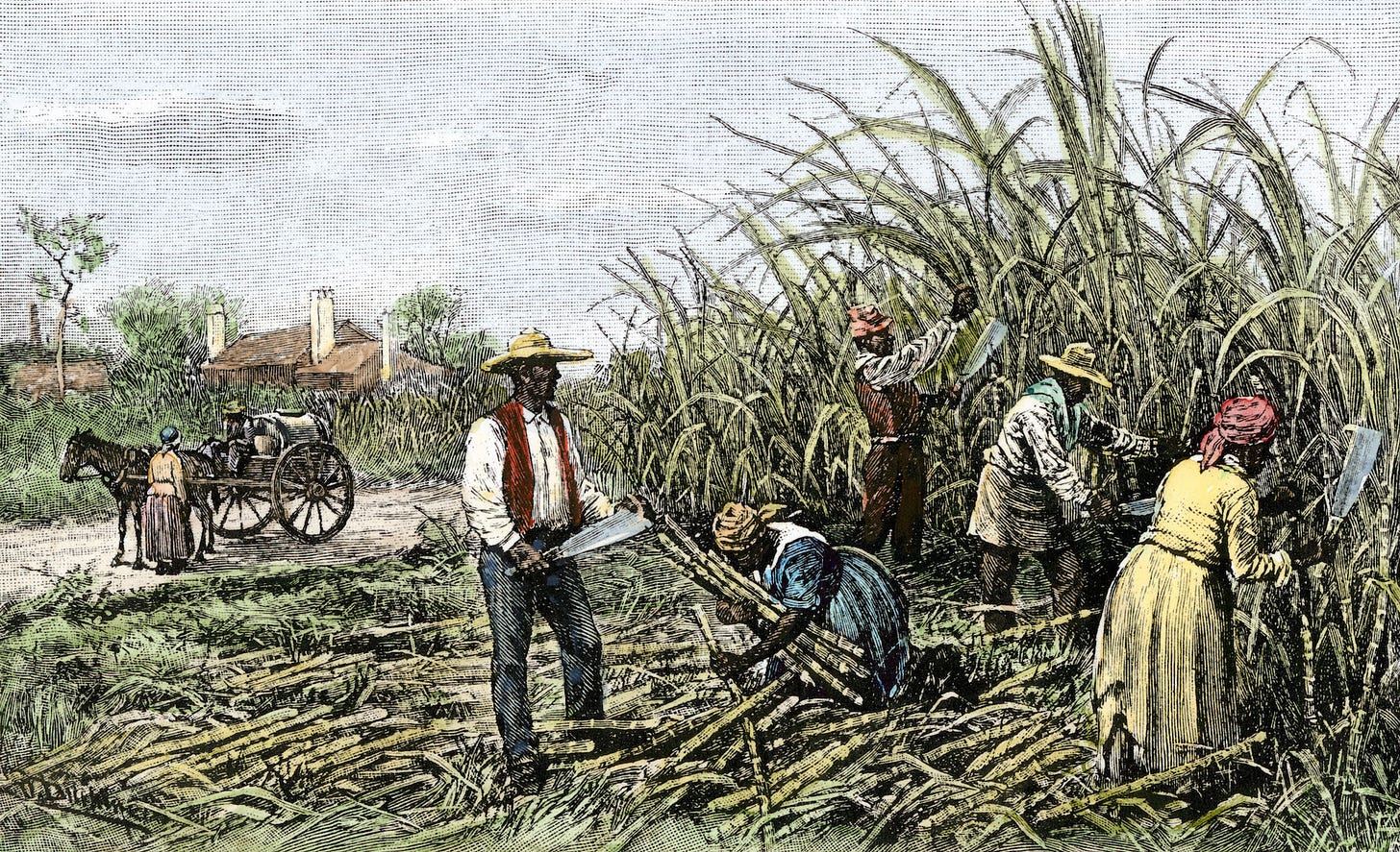 The Plantation System