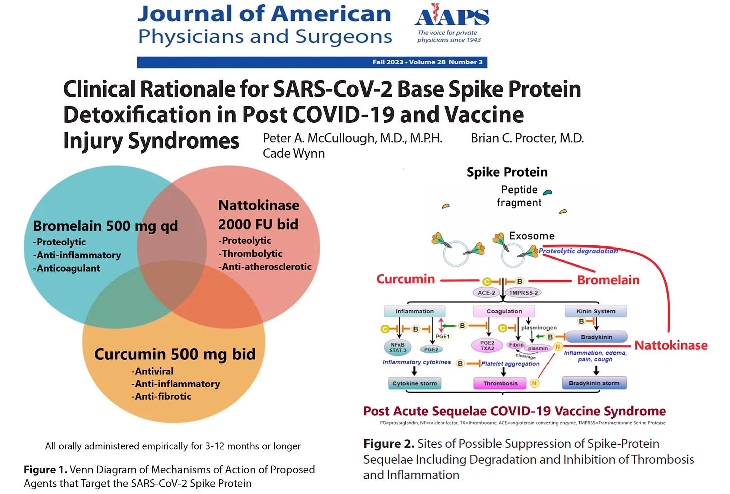 BREAKING--Clinical Rationale for SARS-CoV-2 Base Spike Protein ...