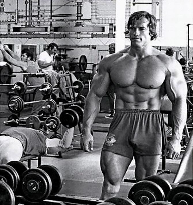 Collegiate Muscle on X: "Arnold Schwarzenegger 7-Time Mr. Olympia  #Bodybuilding #Classic #GoldenEra #Arnold #Training #Motivation  http://t.co/1mwEW7omoZ" / X