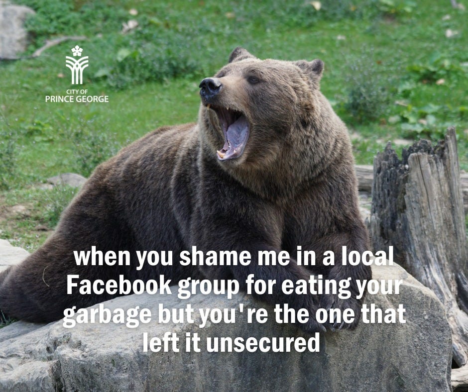 A brown bear laying on a rock in a grassy field. Its mouth is open, almost like it's laughing. Graphic text reads, when you shame me in a local Facebook group for eating your garbage but you're the one that left it unsecured.