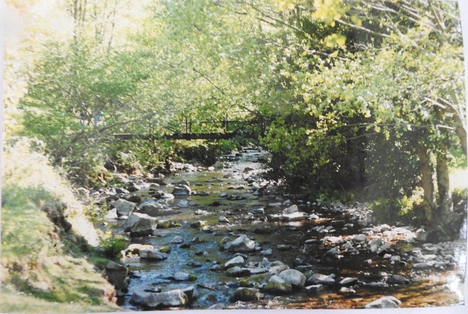 Photo of stream with trees either side
