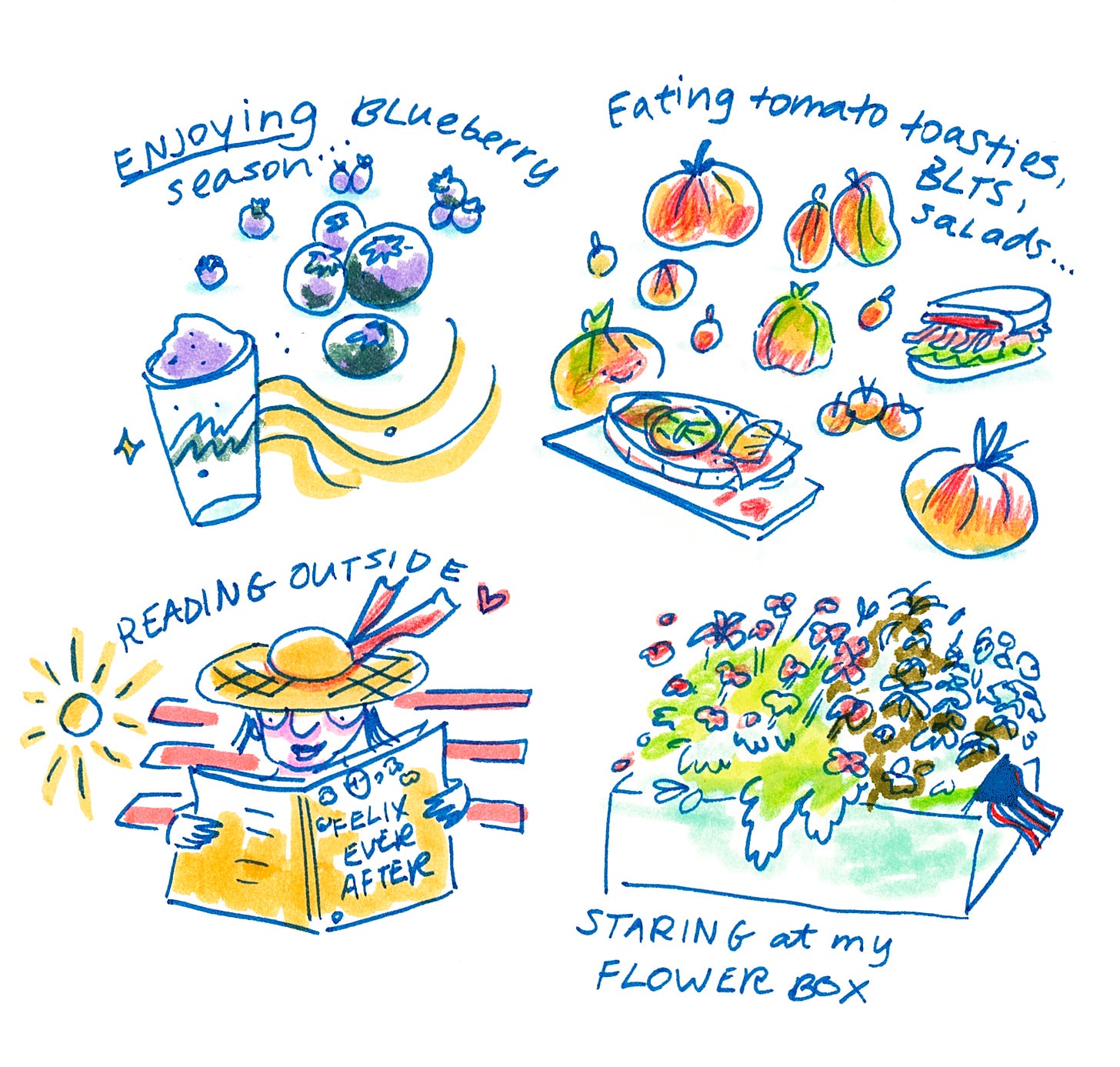 A comic style doodle featuring blueberries, eating tomatoes in salads, BLTs, and toasties, reading outside, and enjoying my flower box