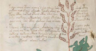 Voynich Manuscript | Beinecke Rare Book & Manuscript Library