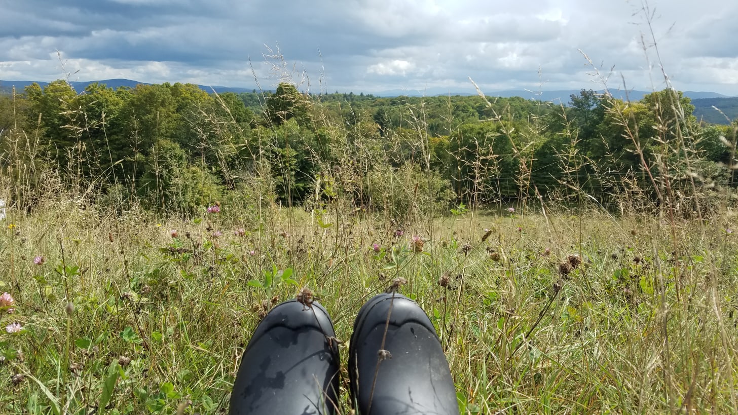 Rain boots in a field of clover