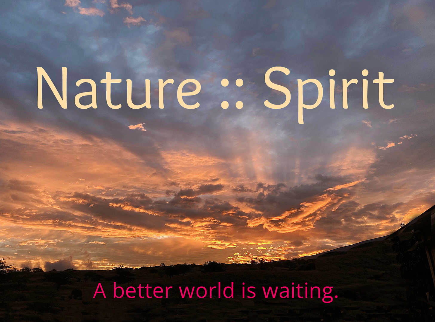 Sunrise breaks orange across a dark cloudy sky, with the words Nature :: Spirit. At ground level the words, A better world is waiting.