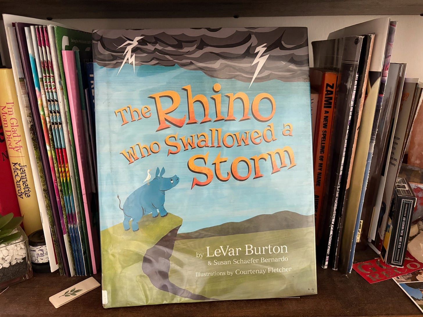 A Rhino looks up at a storm on the cover of The Rhino Who Swallowed the Storm A Rhino looks up at a storm on the cover of The Rhino Who Swallowed the Storm